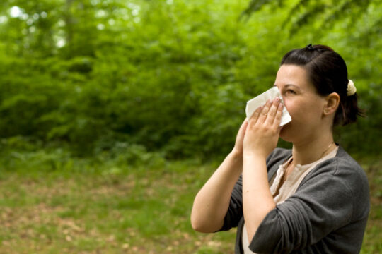 Overview of Asthma and Allergies