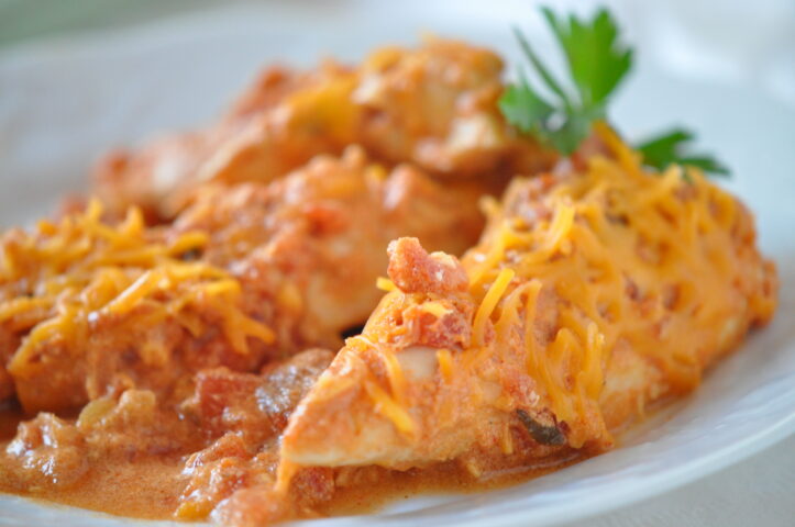 Salsa Chicken0001